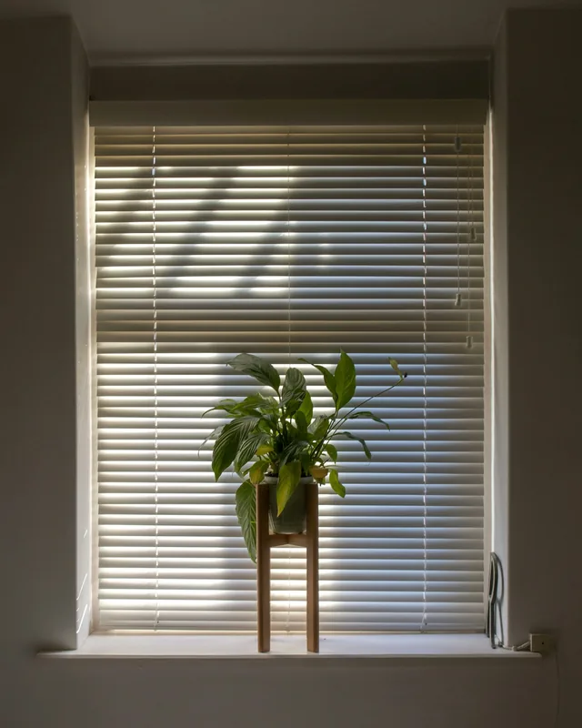 Window with white blinds and a potted plant on the sill